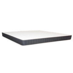 Tulip Pocketed Foam‑Encased Mattress