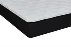 Clark Faux Euro Top Mattress
