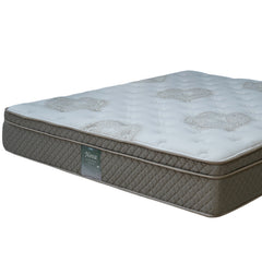 High quality Pocket Spring Nova Mattress UAE
