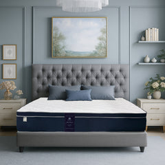 Sleep Essence Euro Top Pocket Spring Mattress